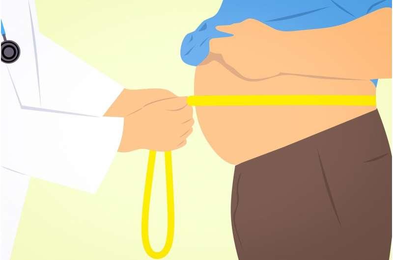 研究发现靶向线粒体显示出治疗肥胖的希望
