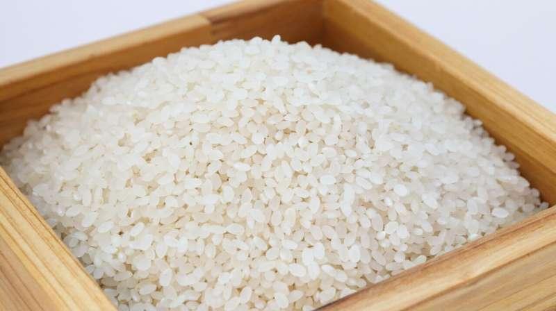 吃精白米的女性可促进婴儿的健康