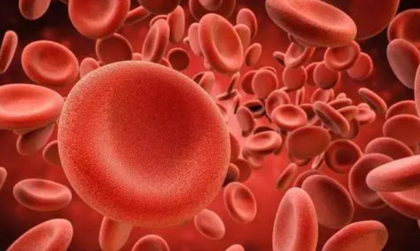 红细胞缺陷可能导致狼疮