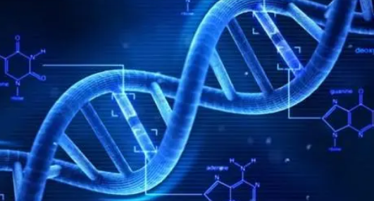 研究人员已经确定了一种测量DNA扭转刚度的新方法