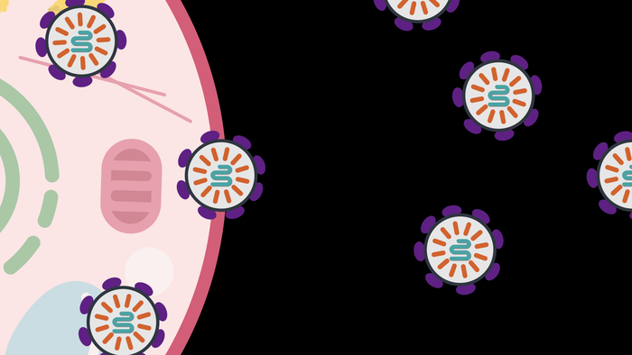 科学家利用人类蛋白质向细胞输送分子药物