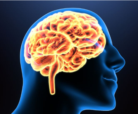 佐治亚州研究人员获得350万美元用于研究阿尔茨海默病的大脑动力学