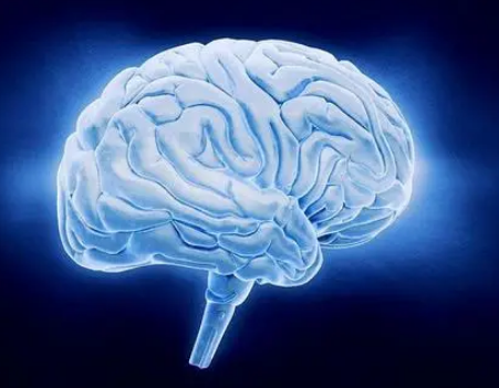 迷你大脑模仿自闭症患者头部大小的变化