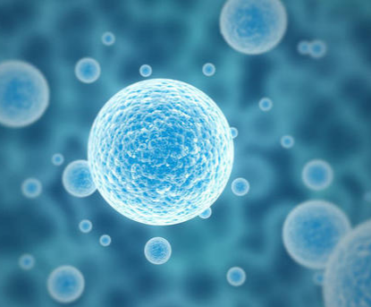 免疫细胞解释了为什么随着年龄的增长它会变冷
