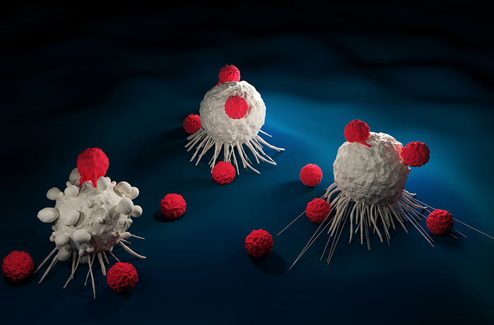 工程化CAR T细胞提供内源性RNA唤醒实体瘤以响应治疗