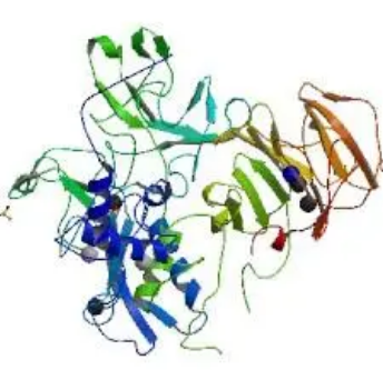 新的机器学习方法更擅长发现蛋白质中的酶金属