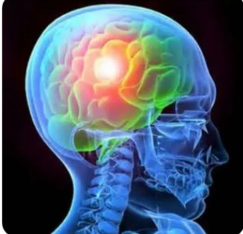 外伤性脑损伤如何长期影响大脑的分子见解