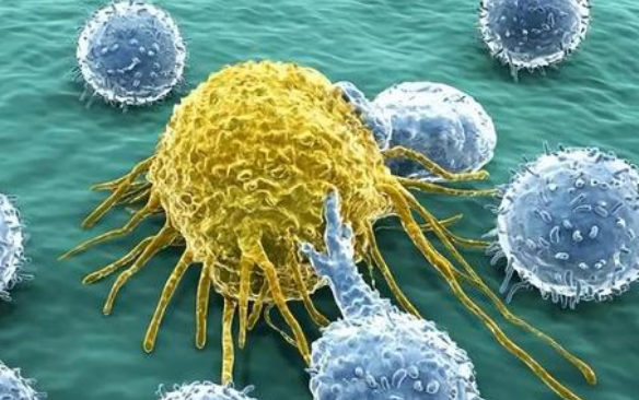 研究人员发现如何比较被治疗根除和抵抗治疗的癌细胞基因组变化