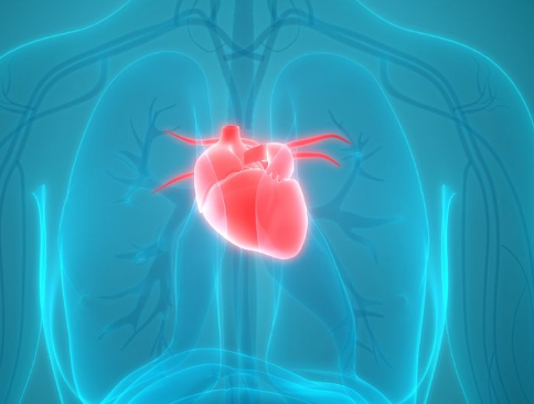 新研究提供了对疑似心脏结节病患者性别差异的见解