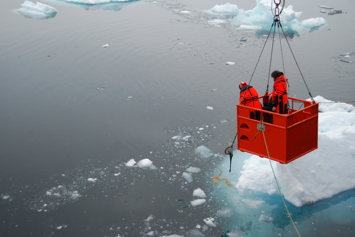 气候变化威胁到极地海洋丰富食物网的基础