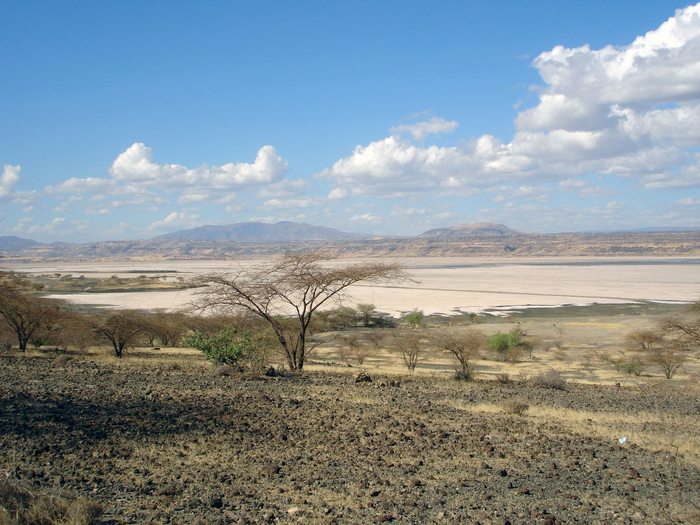 肯尼亚马加迪湖的记录表明地球轨道变化驱动的环境变化