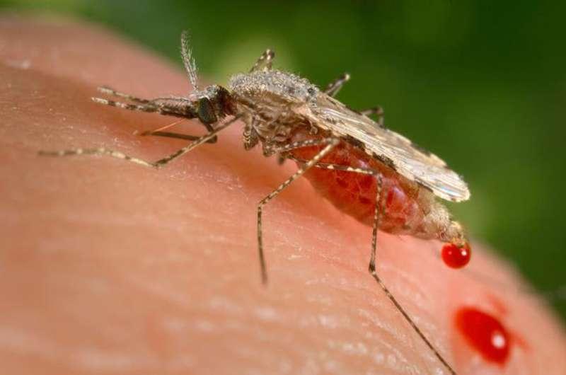 研究人员在非洲发现对关键药物有抗药性的疟疾