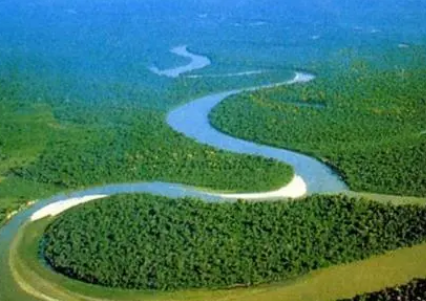 亚马逊保护区有益于人类和生物多样性