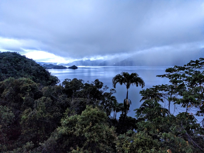 研究人员发现了重要的 PNG 湿地生态系统崩溃的迹象