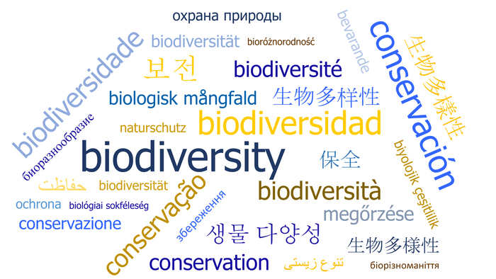 非英语科学可以帮助拯救生物多样性