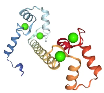 神经生物学家确定了大脑突触背后广泛使用的组装和稳定力