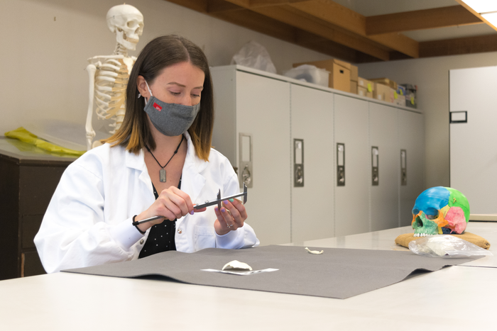 骨骼年龄估计的新方法可以帮助识别少年遗骸