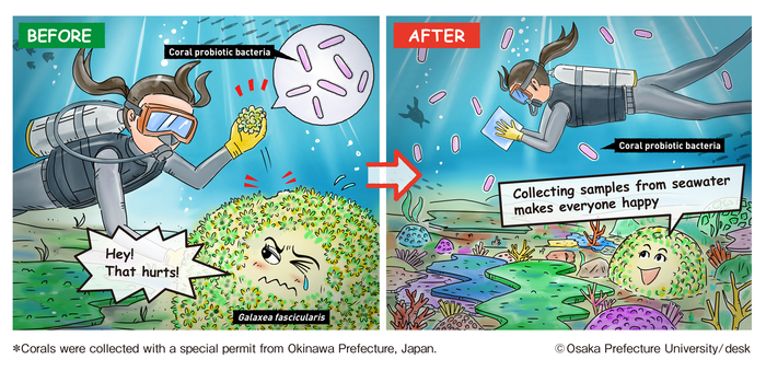 对海水中潜在益生菌的快速测试可能会揭示珊瑚的健康状况
