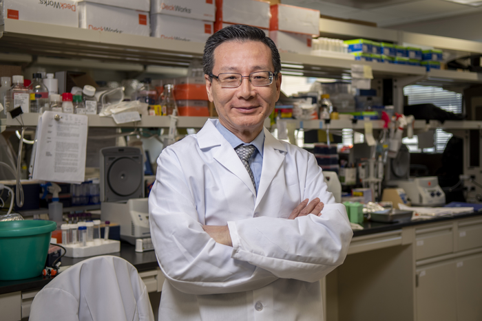 研究人员发现阻止免疫细胞进入并杀死乳腺肿瘤的分子