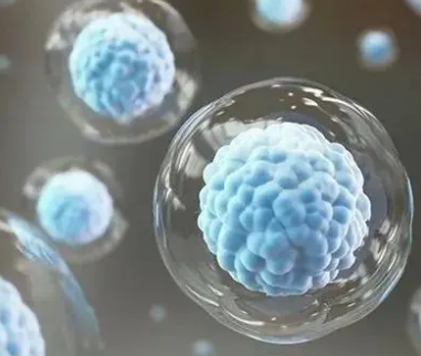 西奈山研究人员开发了来自健康人类的人类诱导多能干细胞库