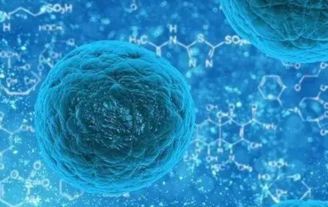 脂肪分泌分子降低对常见癌症治疗的反应