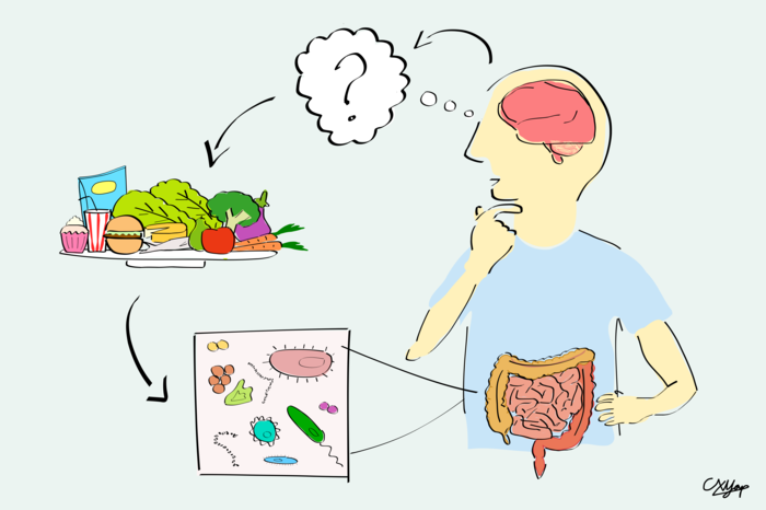 自闭症患者的肠道微生物群差异可能是由于饮食偏好