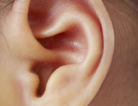 研究表明常见的大声噪音会导致内耳积液