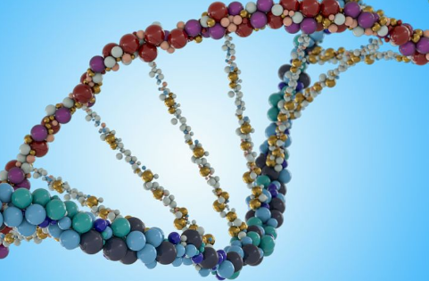 通过机器学习分析长链非编码 RNA 生成的 166 个生物标志物目录