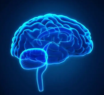 深度伪造大脑可以改善残疾人的脑机接口