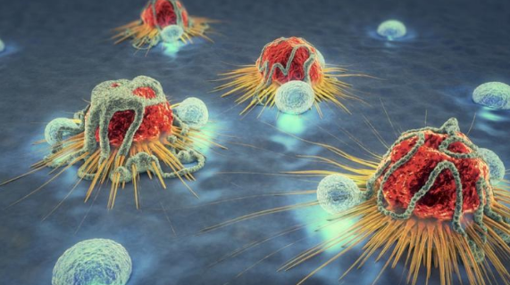 UM研究人员开发了一种方法来观察癌细胞在体内转移的潜力