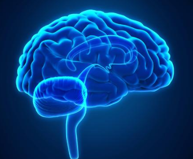 脆弱大脑区域的磨损导致与认知能力下降相关的病变