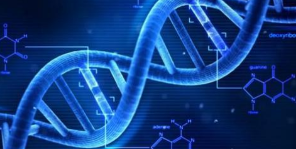 DNA 损伤如何导致神经退行性疾病