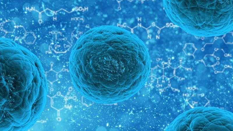 如何利用外太空推进干细胞科学和医学