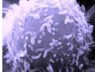 科学家改造CART细胞作为抗癌药物的微型药房