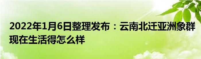 2022年1月6日整理发布：云南北迁亚洲象群现在生活得怎么样