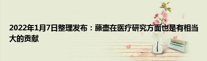2022年1月7日整理发布：藤壶在医疗研究方面也是有相当大的贡献