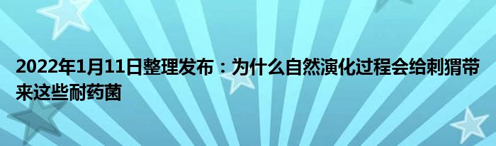 2022年1月11日整理发布：为什么自然演化过程会给刺猬带来这些耐药菌