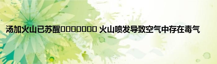 汤加火山已苏醒​​​​​​​ 火山喷发导致空气中存在毒气