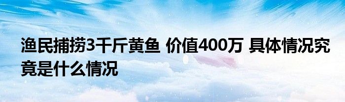 渔民捕捞3千斤黄鱼 价值400万 具体情况究竟是什么情况