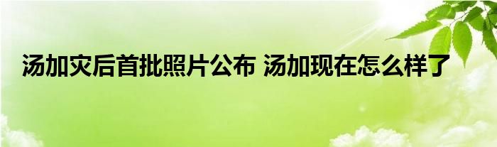 汤加灾后首批照片公布 汤加现在怎么样了