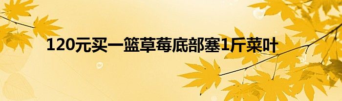 120元买一篮草莓底部塞1斤菜叶