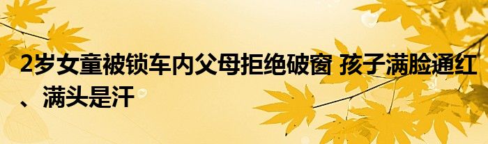 2岁女童被锁车内父母拒绝破窗 孩子满脸通红、满头是汗