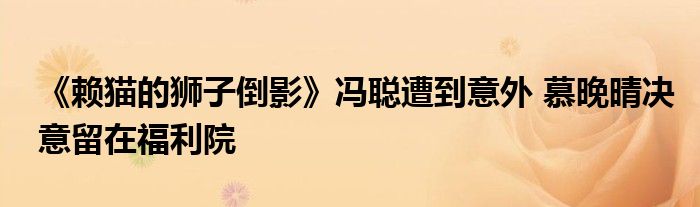 《赖猫的狮子倒影》冯聪遭到意外 慕晚晴决意留在福利院