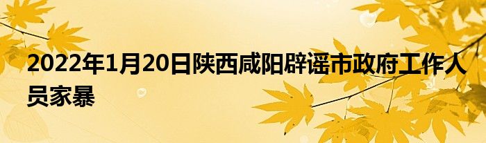 2022年1月20日陕西咸阳辟谣市政府工作人员家暴
