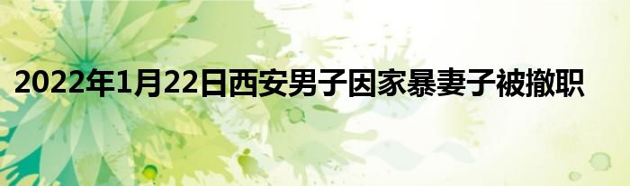 2022年1月22日西安男子因家暴妻子被撤职