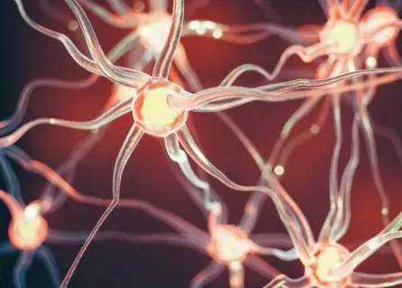 结构蛋白质组学治疗神经退行性疾病的潜力