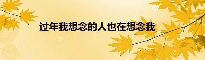 过年我想念的人也在想念我