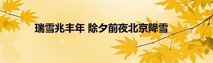 瑞雪兆丰年 除夕前夜北京降雪