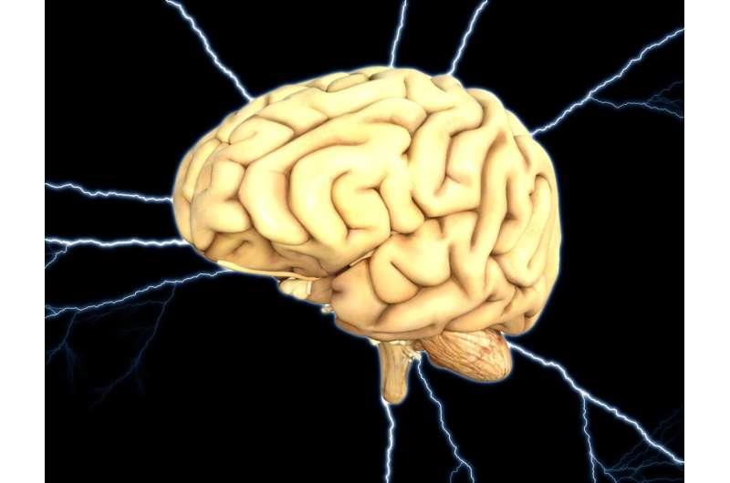 研究人员将一种基因突变引入人类细胞 以预防阿尔茨海默病