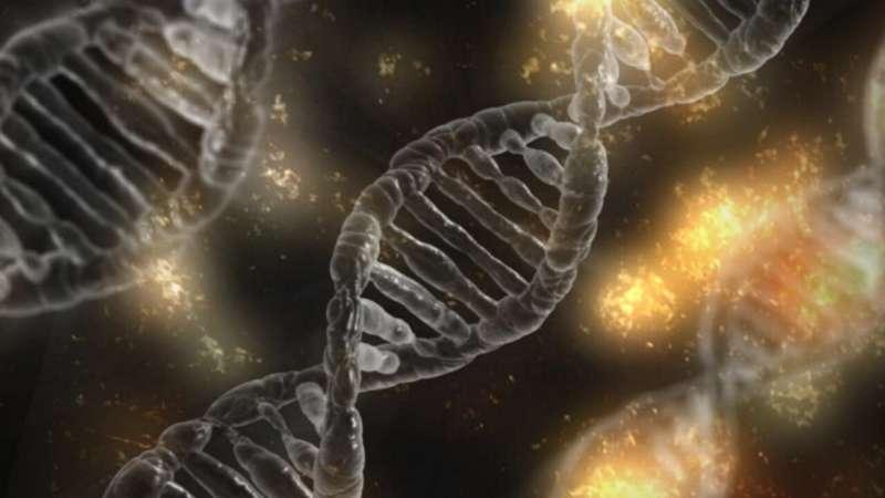 研究对 2,658 个肿瘤的分析为癌症突变提供了新的线索